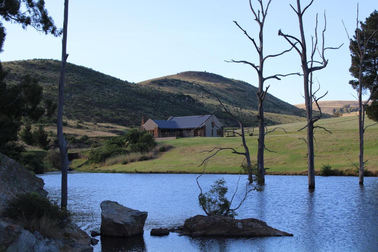 Wetlands Game Lodge Wakkerstroom Buitenkant foto