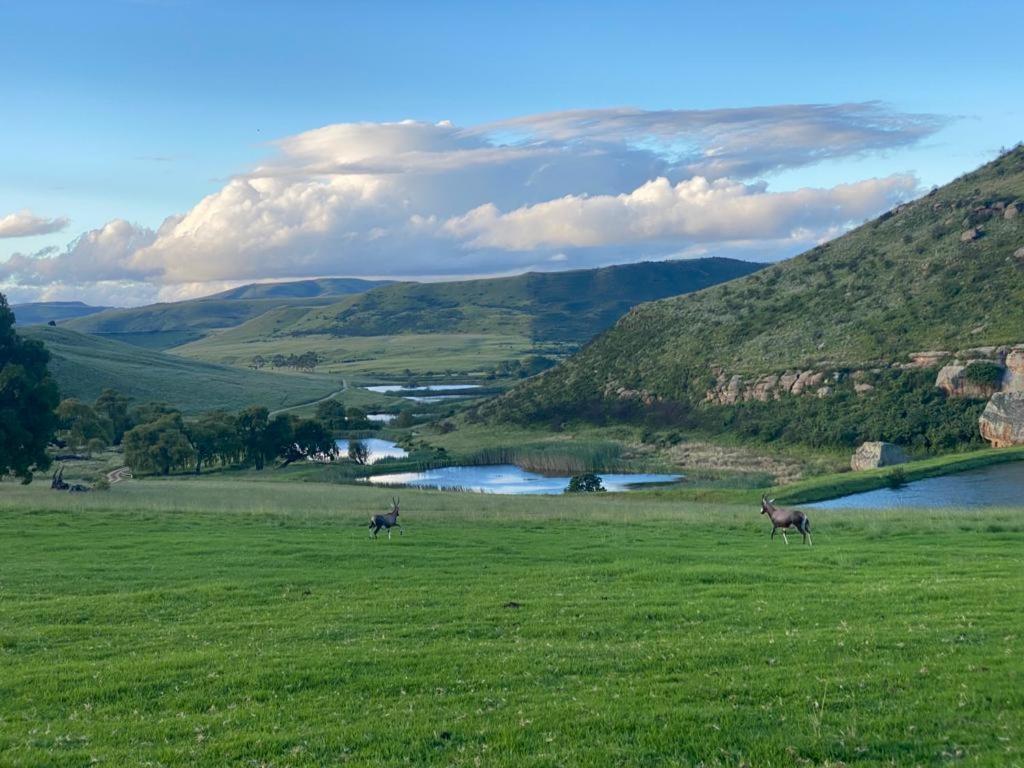 Wetlands Game Lodge Wakkerstroom Buitenkant foto