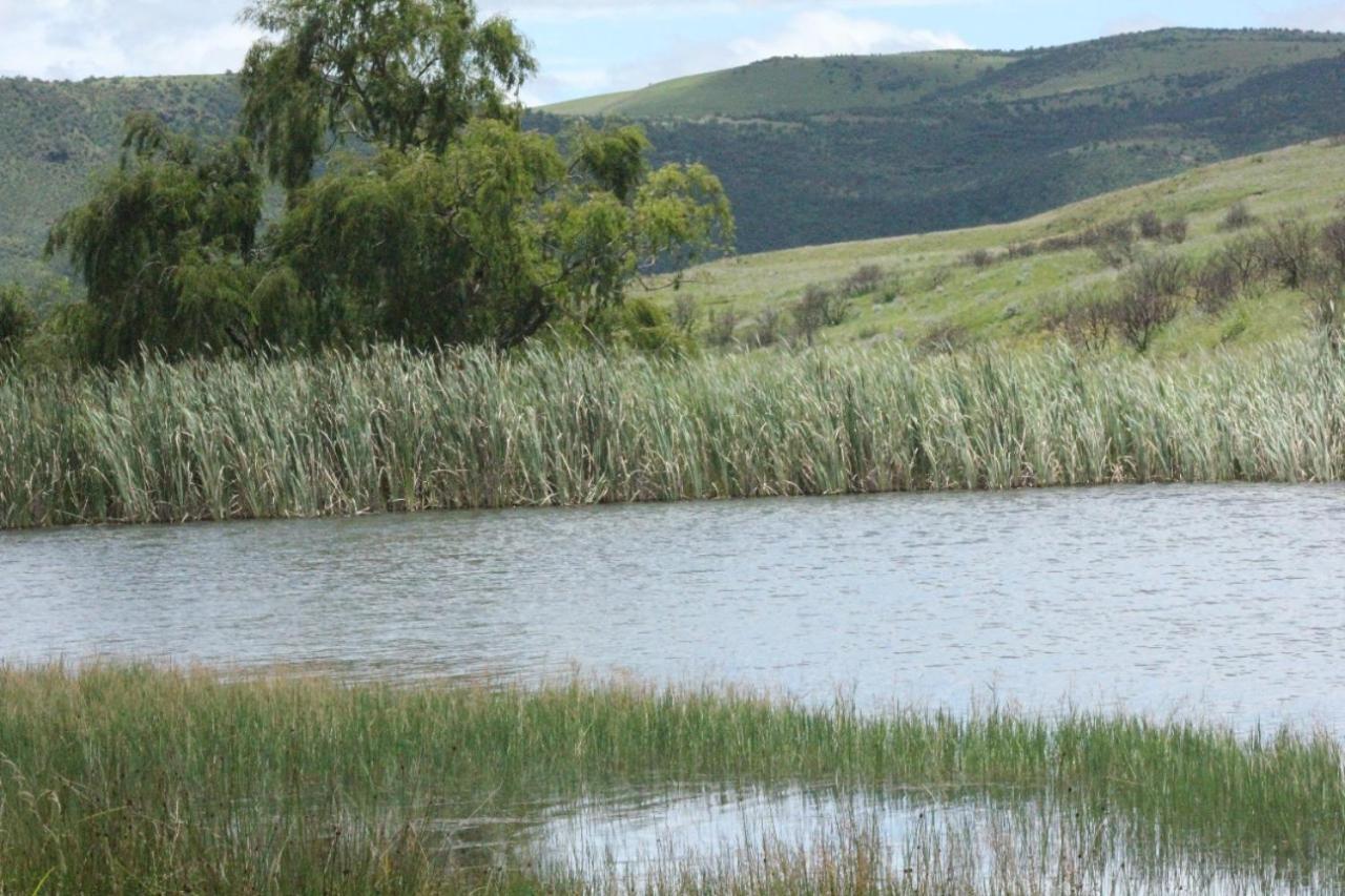 Wetlands Game Lodge Wakkerstroom Buitenkant foto