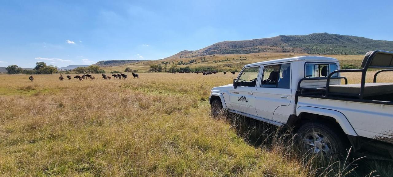 Wetlands Game Lodge Wakkerstroom Buitenkant foto